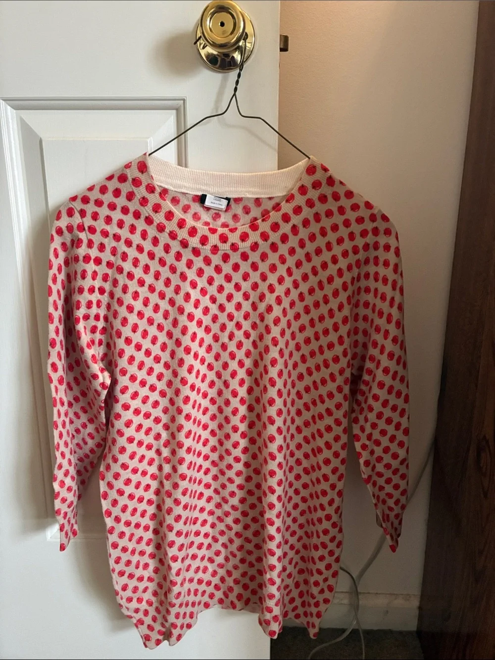 J. Crew Tan Sweater with Red Apple Print